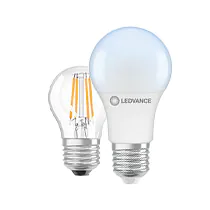 E27 LED Bulbs - 6500K (Kelvin)