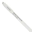 Noxion LED Tube T5 Avant Extreme (HF) High Output 26W 3900lm - 865 Daylight | 145cm - Replaces 49W