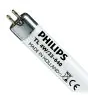 Philips T5 Short 4W - 640 Cool White | 14cm