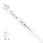 Ledvance LED Tube T8 Value (EM/Mains) Standard Output 15W 1800lm - 865 Daylight | 120cm - Replaces 36W