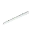 Philips LED Waterproof Batten Ledinaire WT065C 23/42W 2900/4800lm - 840 Cool White | 120cm